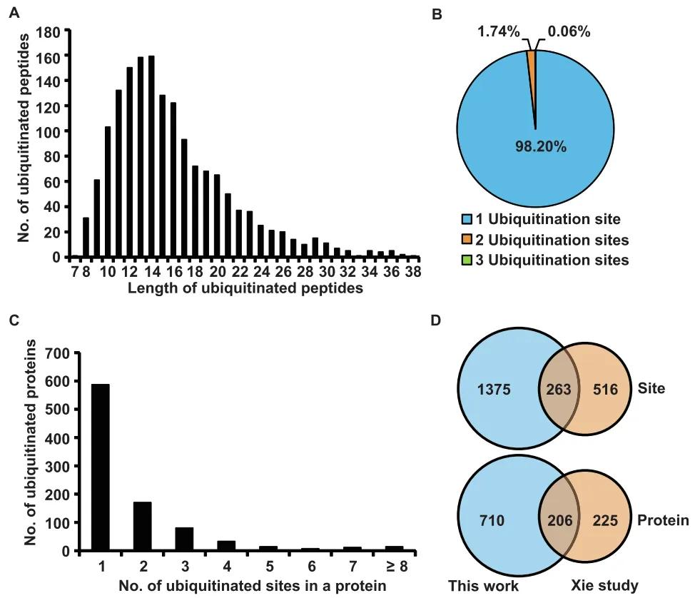 Advancements in Protein lipidation Research